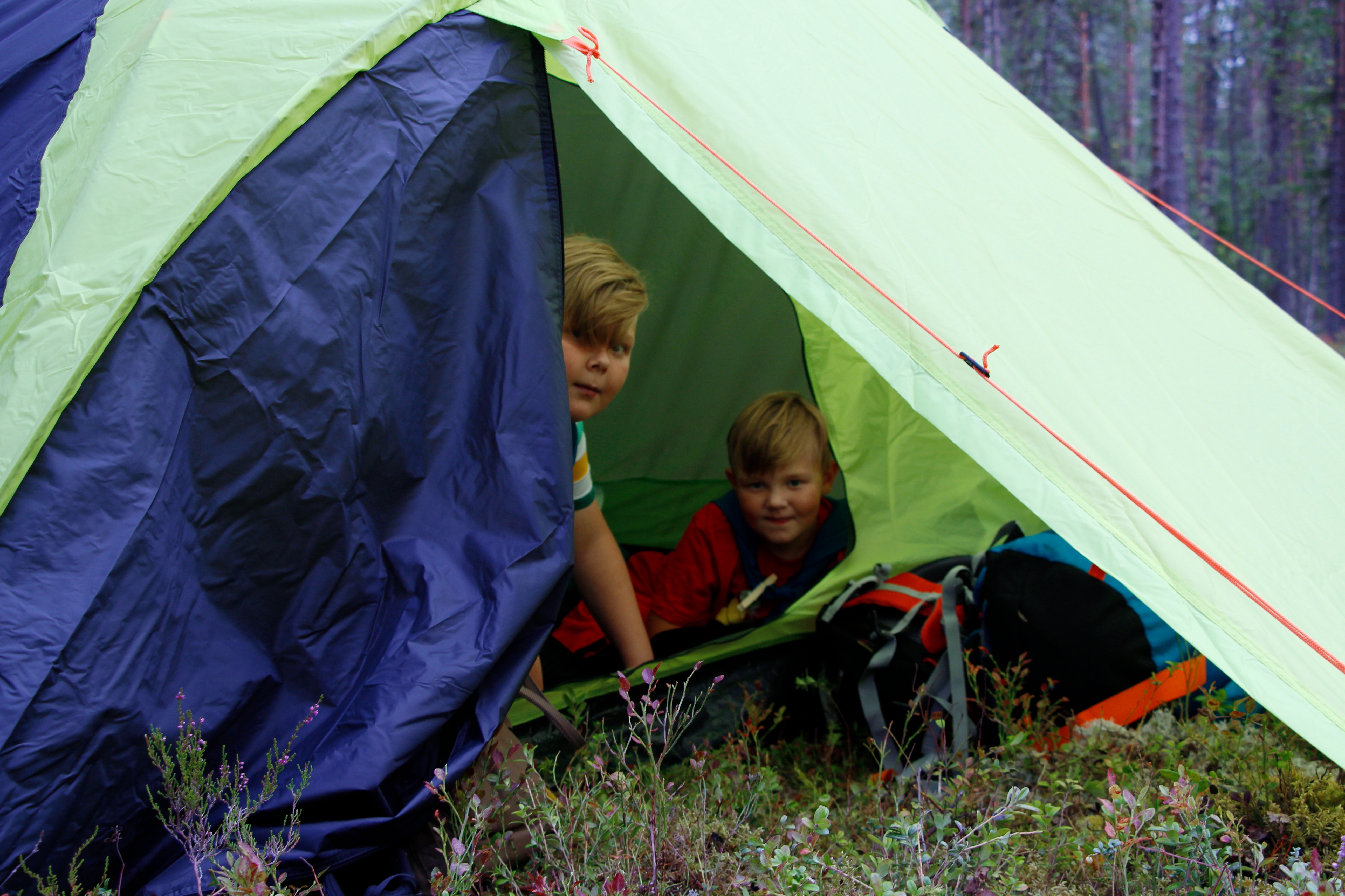 Topi, 10, ja Toni,7, Suvanto pystyttivät teltan yhdessä äidin ja isän kanssa. Pojat ovat innoissaan metsähotellista, jossa saa nukkua teltassa. 