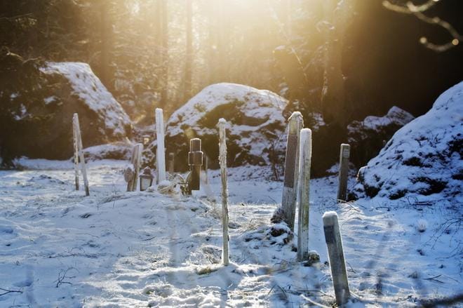 Tähtipölyn perustaja Virpi Jumisko on huomannut, että ihmiset vierailevat Vanhassa Vaasassa sijaitsevalla pieneläinten hautausmaalla. Talvella haudoilla voi nähdä kynttilöitä, kesällä kukkia. KUVA: JARNO PELLINEN