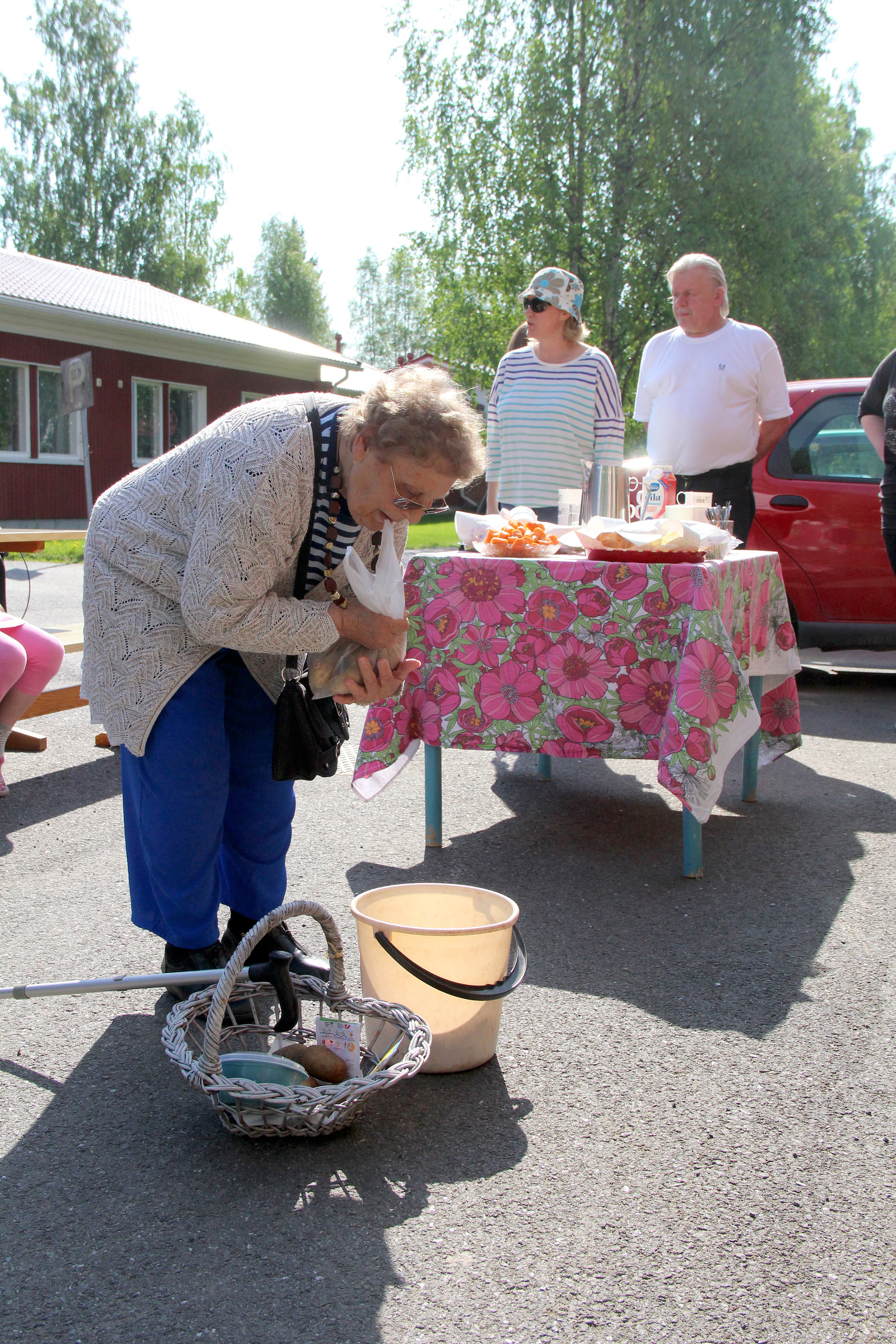 Vanhustentaloyhdistyksen rivitalojen asukkaat olivat tuoneet viljeltäväksi kukin nyssäkällisen perunaa.