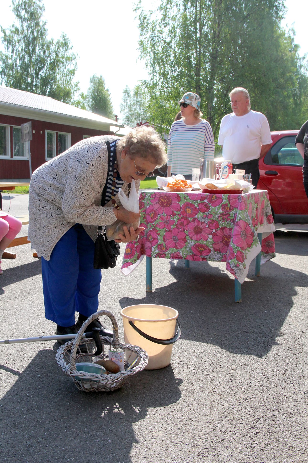 Vanhustentaloyhdistyksen rivitalojen asukkaat olivat tuoneet viljeltäväksi kukin nyssäkällisen perunaa.