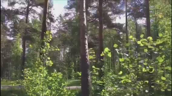 Myrskyn jälkiä korjattiin Oulussa