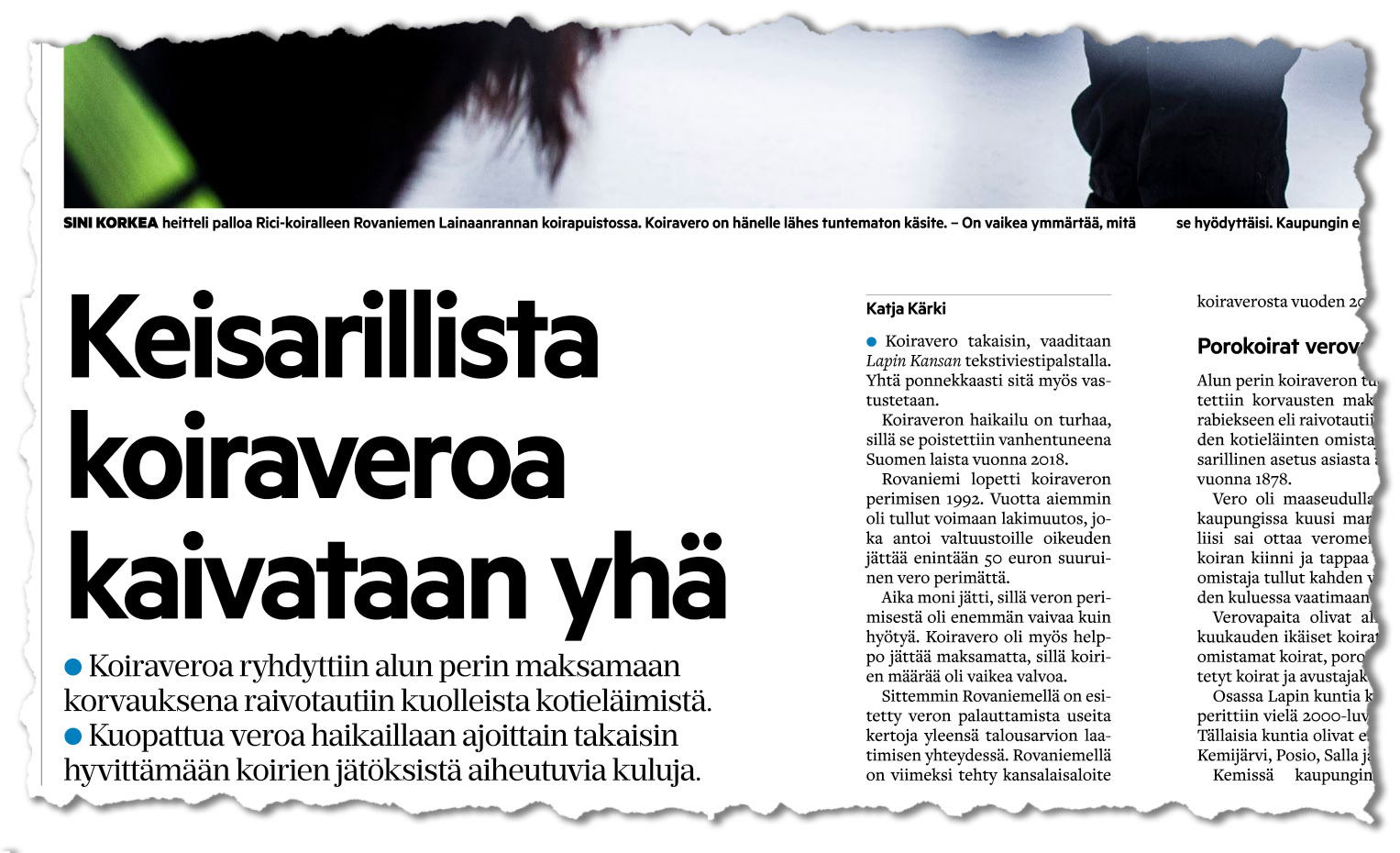 "Palkkaahan koiralle pitäisi maksaa!" – Kysymys koiraveron palauttamisesta kirvoitti ääniä puolesta ja vastaan Lapin Kansan kyselyssä