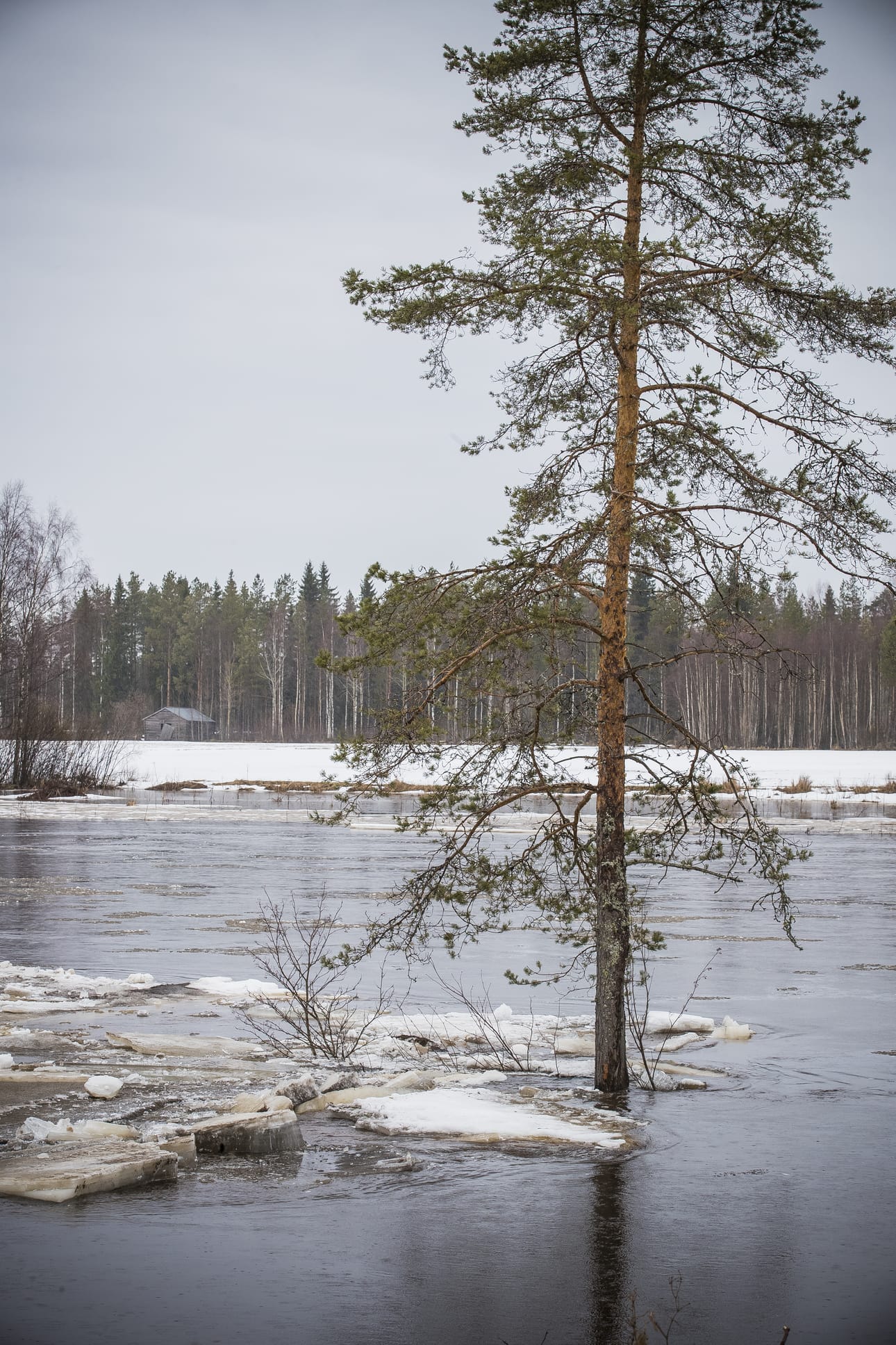 Vuotinperällä jäät olivat pakkautuneet alemmaksi, mutta veden virtaus oli kova.