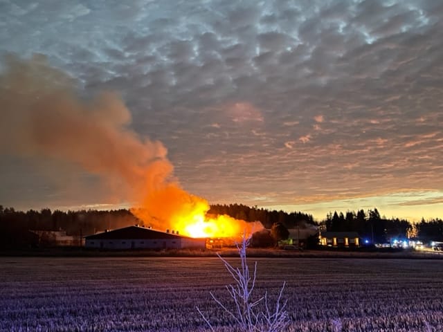 Sikalarakennus tuhoutui tulipalossa Uudenkaarlepyyn Jepualla maanantaiaamuna.