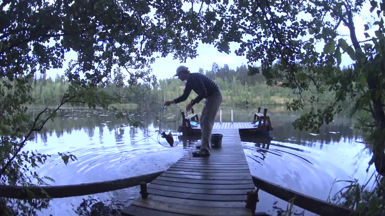 Kala karkaa katiskasta