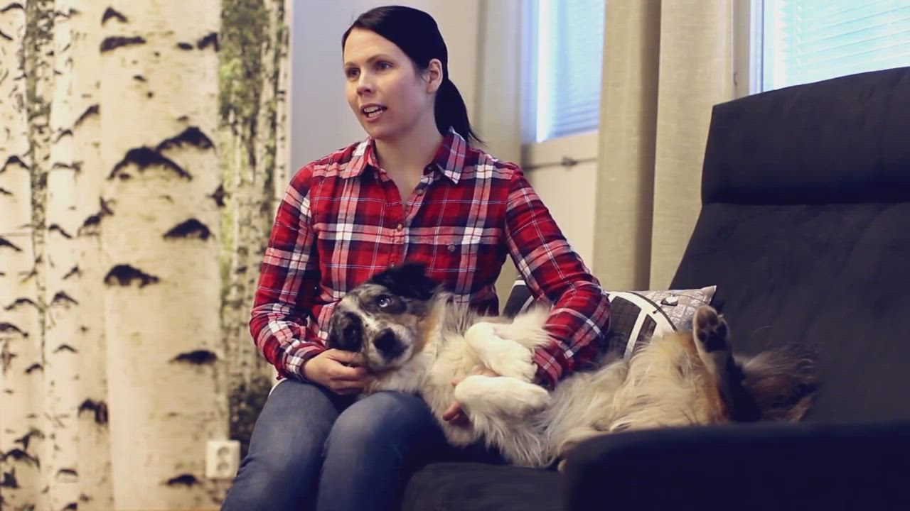 Homekoiran kanssa nuuskimaan