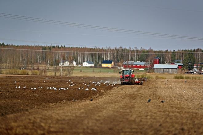 Nuorempi isäntä Timo Hantula kynti isänsä Jussi Hantulan juuri levittämän lietelannan maan ravinteeksi. Hantulan aloittivat maan muokkaukset Seinäjoen Alajoen aukealla tiistaina ja viikon varrella työkoneita on ilmestynyt myös naapuripelloille. Äestämään Hantulan saroilla on päästään viikonloppuna ja maanantaina on tarkoitus aloittaa sokerijuurikkaan kylvöt. KUVAT: KARI LÖFHJELM