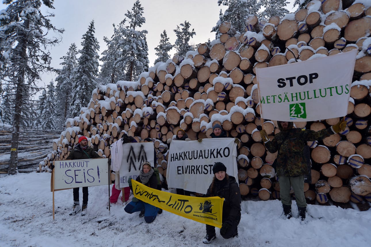 Puolangalla vastustetaan Metsähallituksen aikeita kaataa vanhaa metsää.