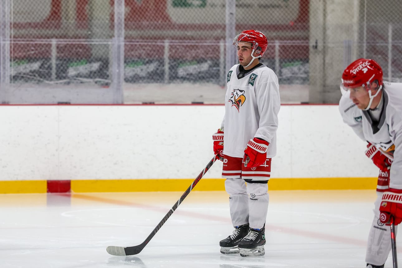 Kanadalaishyökkääjä George Diaco kuului viime kaudella HockeyAllsvenskanin parhaisiin pistemiehiin. Hänellä on Sportin kanssa yksivuotinen sopimus.