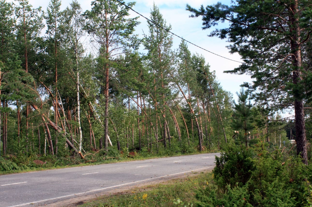 ET toivoo, että siirtohinnoissa hintataso voitaisiin vakiinnuttaa pidemmäksi aikaa eteenpäin.