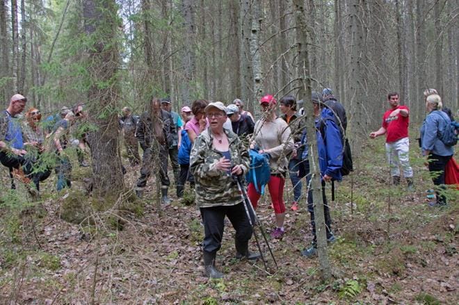 Solvängenin metsässä lähes päivittäin liikkuva kristiinalainen Laura Kaprio kertoi retkeläisille monimuotoisesta metsäalueesta ja näytti alueen erityisiä paikkoja. Taustalla tutkitaan liito-oravan jätöksiä. KUVA: AUNE WARONEN
