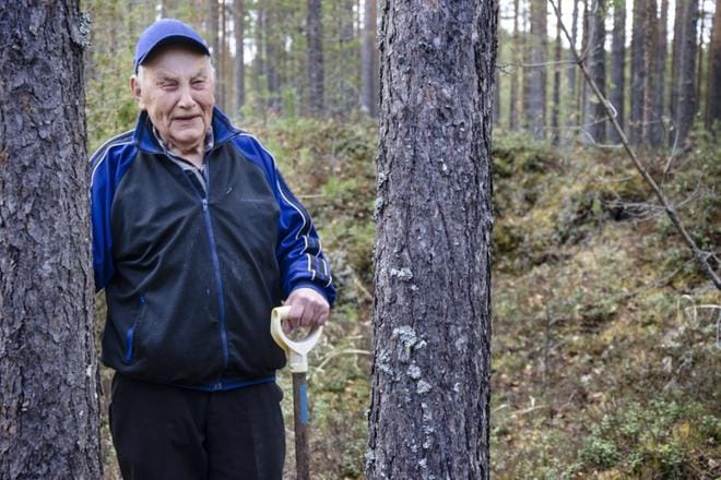 Olavi Sorvari pistäytyi Menkijärvellä katsomassa sirpalesuojaa, jota hän oli 78 vuotta sitten kaivamassa. Töihin osallistuneista 150:stä miehestä on Sorvarin lisäksi elossa Hugo Ahopelto. KUVA: JUHA AHO-PYNTTÄRI