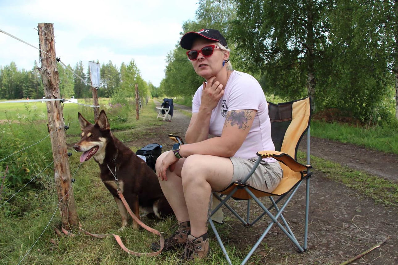 9-vuotias Kata osallistui paimennuskilpailuun omistajansa Eija Huuskon kanssa Oulaisissa.