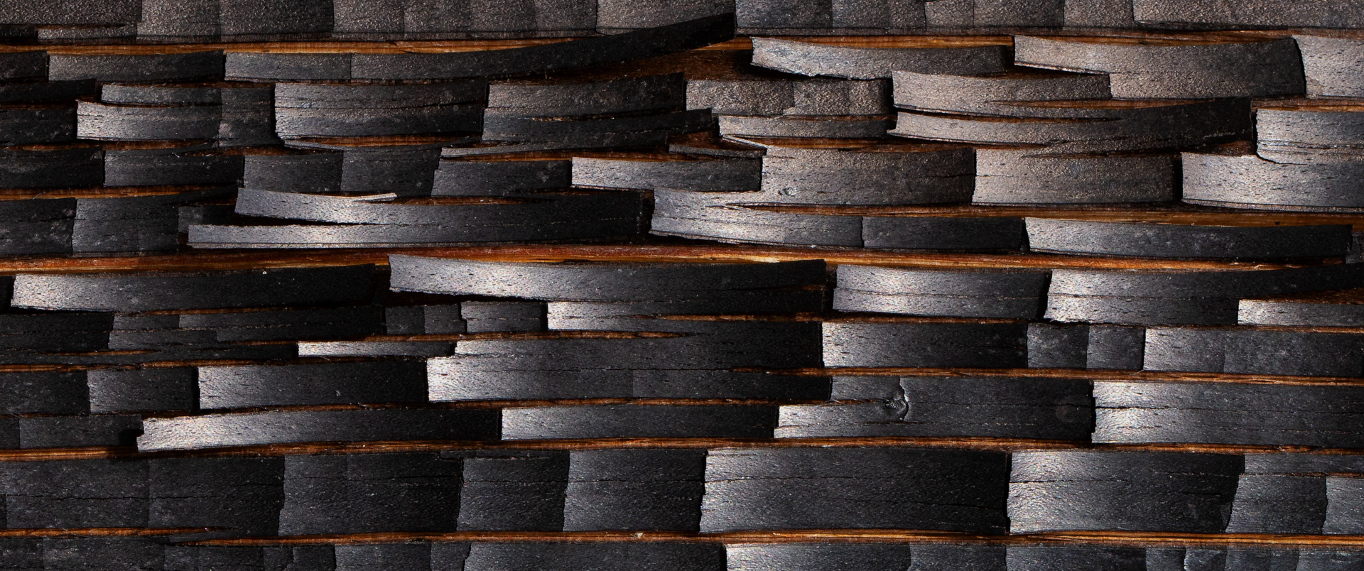 Luonnon yksityiskohdat ja muodot: Markku Pihlajaniemi, Kerava