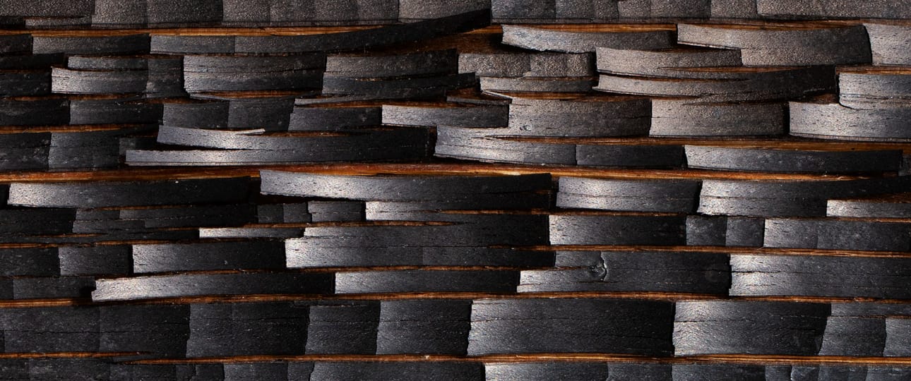 Luonnon yksityiskohdat ja muodot: Markku Pihlajaniemi, Kerava