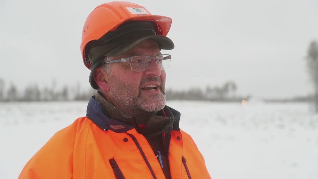 Metsää tuhkalannoitetaan helikopterista
