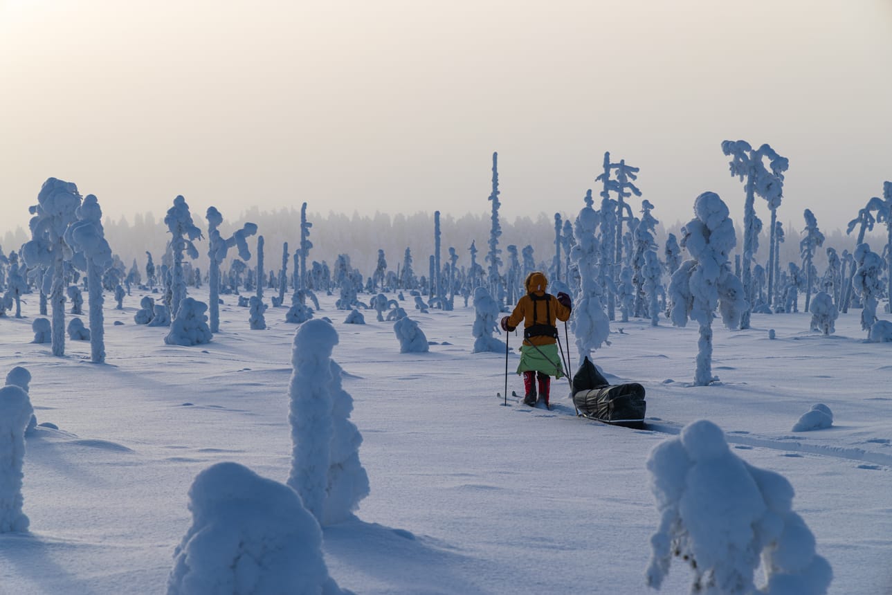 Tänä usvaisena päivänä Litokairassa oli yli 20 astetta pakkasta. Kaikista kylmintä oli avosoiden keskellä, laidoilla pakkanen ei purrut yhtä kovasti.