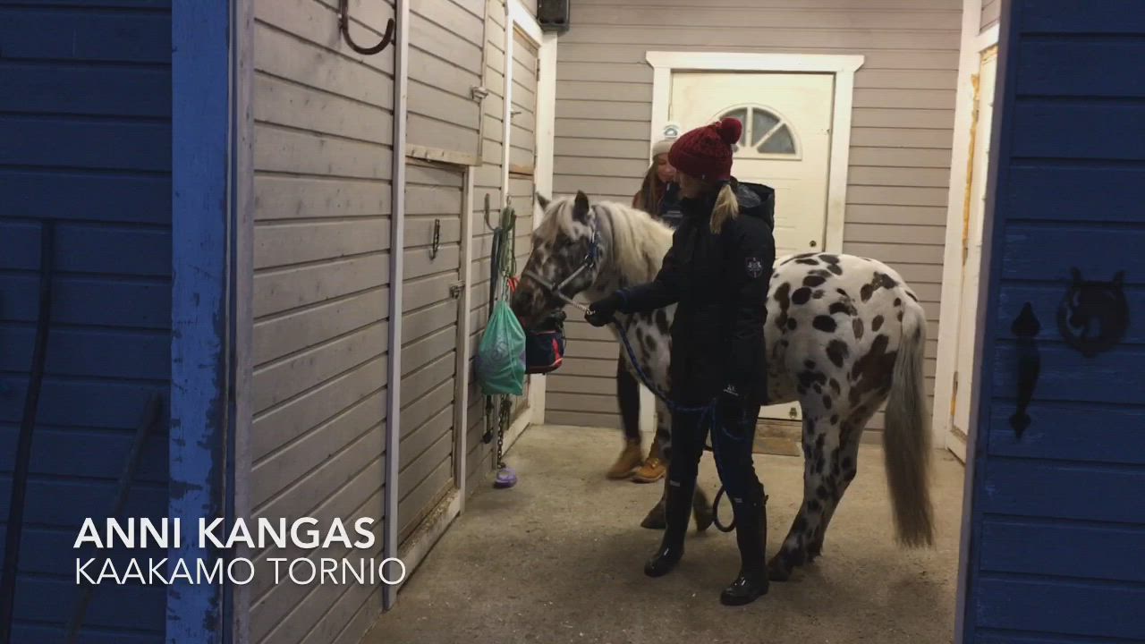 Kerhoponi Hellä Kanelisilmä hurmaa