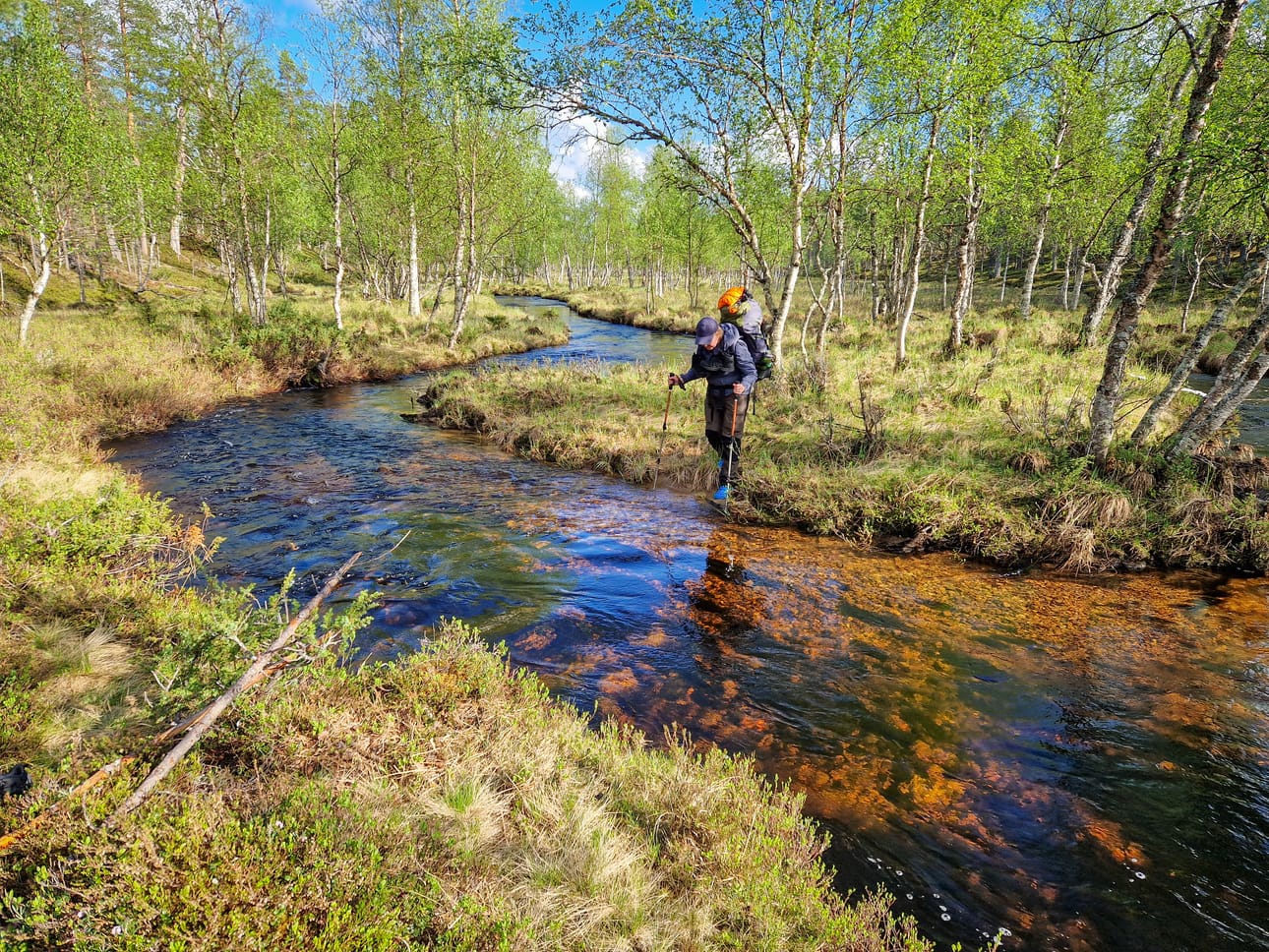 Vaeltaja valmistautuu kahlaamaan Hammasjoen poikki.