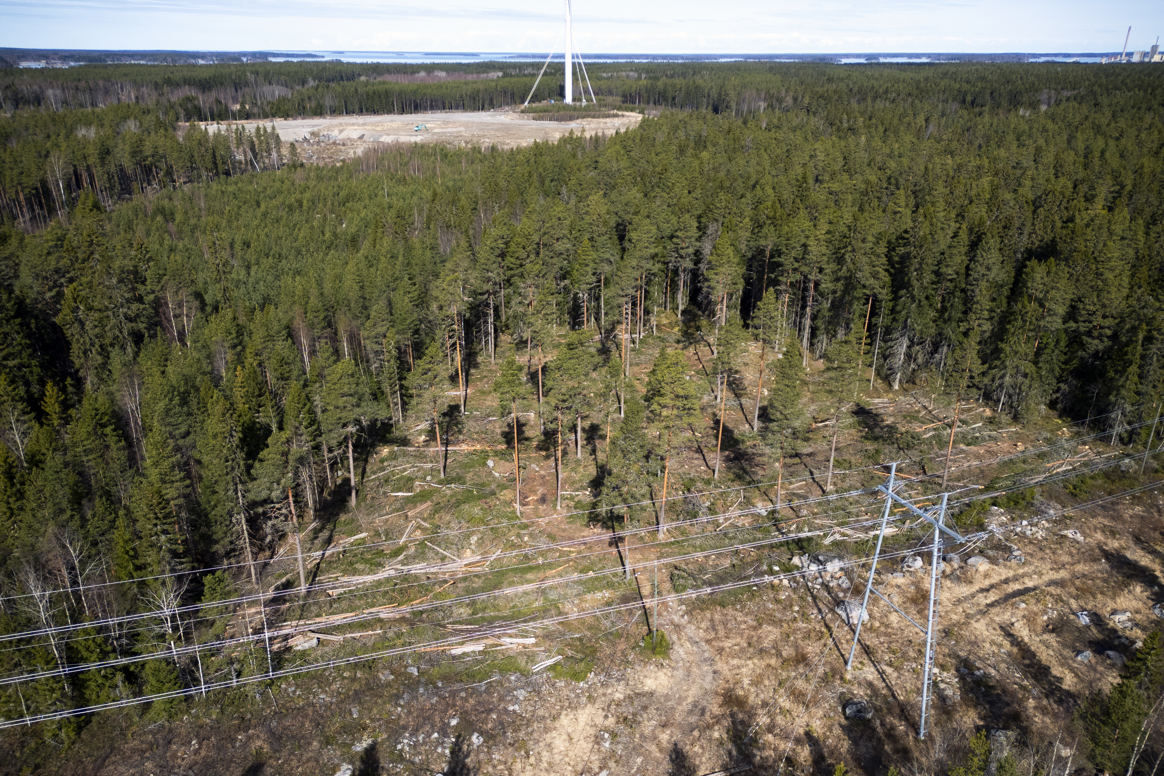 Kaupungin hakkuut Öjenillä herättävät närää ympäristöseurassa – "Jos ei nyt harvenneta, on myöhemmin uhkana avohakkuu"
