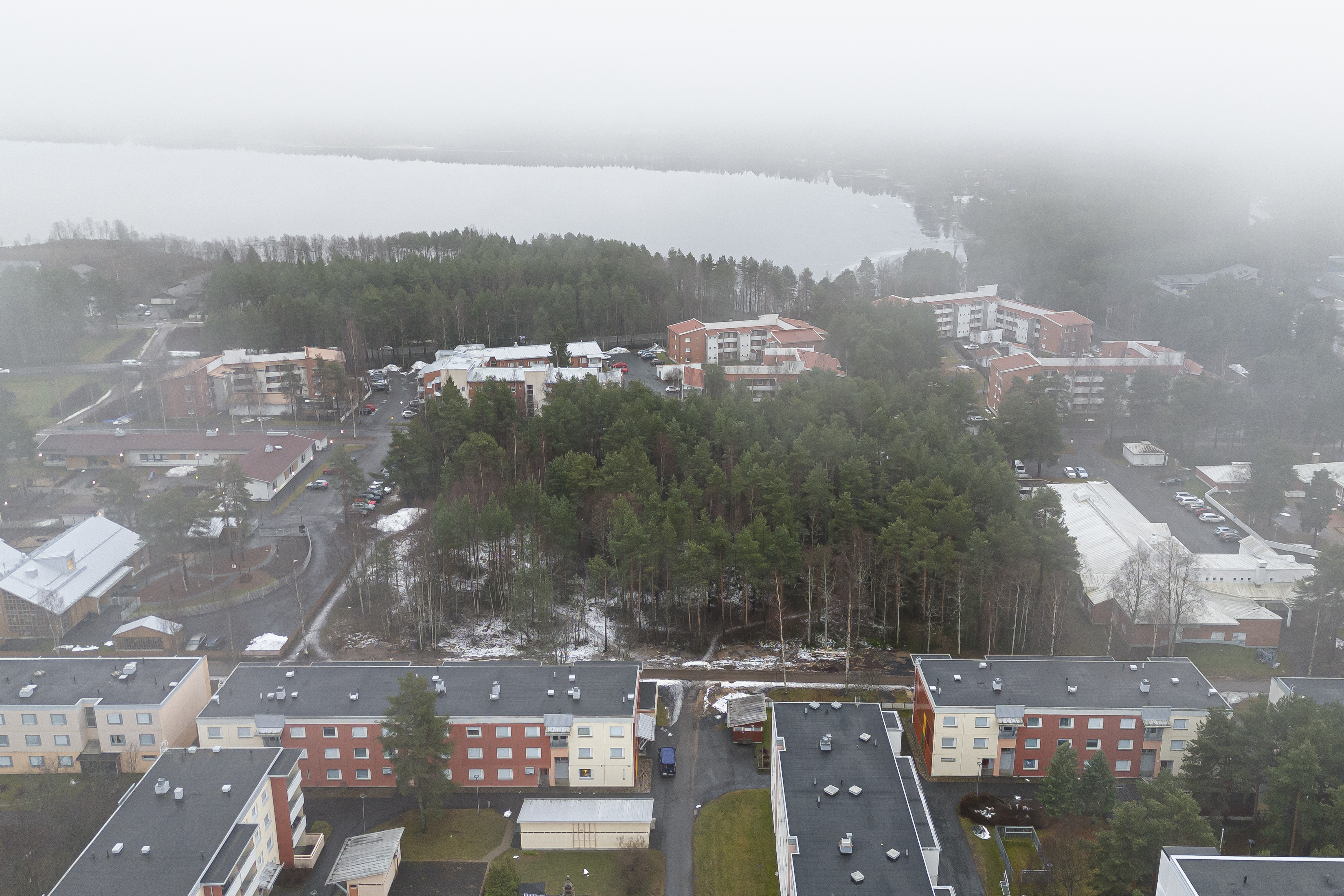 Kaijonharjun luontoalueet säilytettävä – Oululla on mahdollisuus saada luonto- ja virkistysaluepainotteinen kaupunkipuisto
