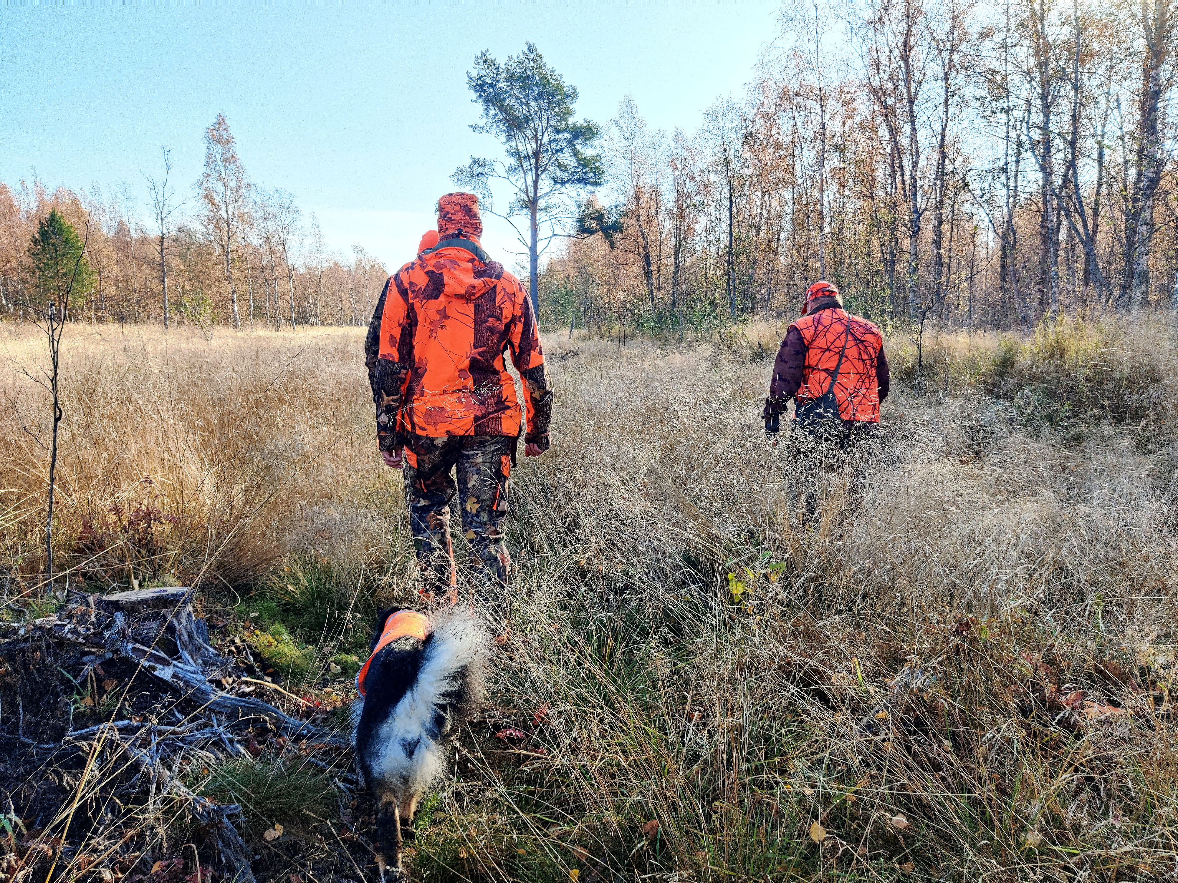 Ampumakokeessa pitää osua neljä kertaa ruokalautasen kokoiselle alueelle – metsästys on yhteisöllisen harrastuksen lisäksi tärkeä riistanhoidon muoto