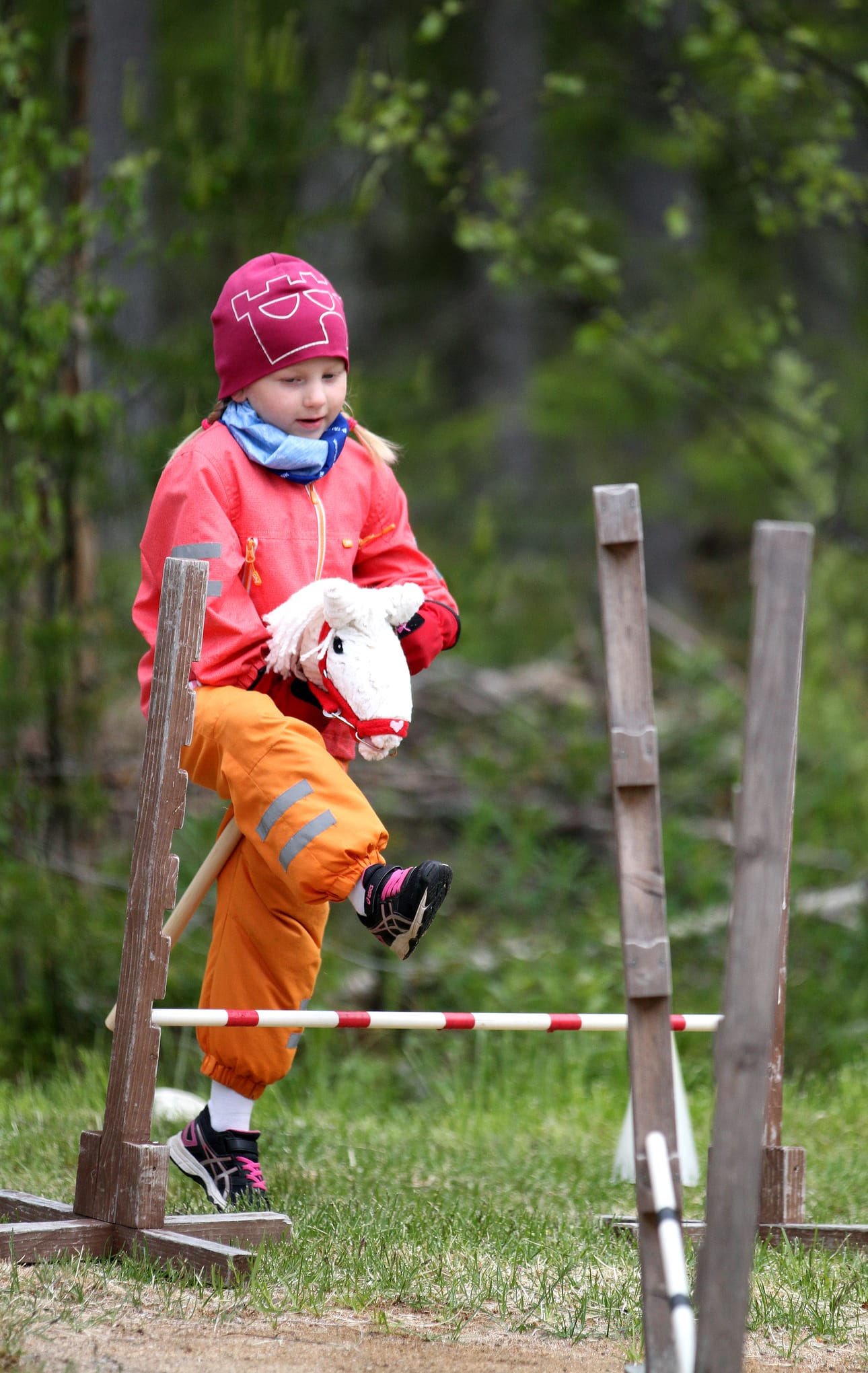 Iita Tikkanen ja Mansikka esteradalla.