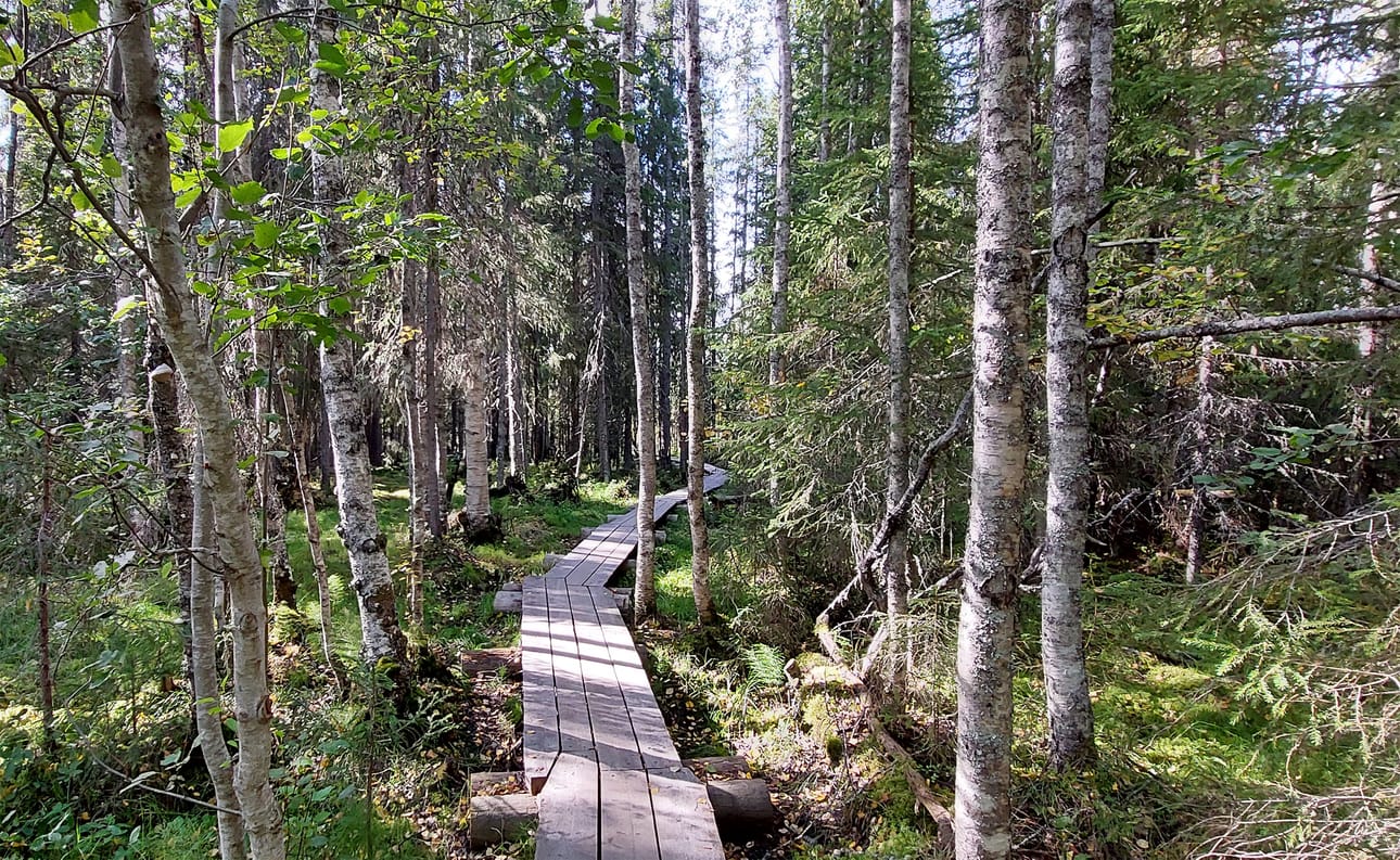 Ounasvaara muuttuu perjantaina esittävän taiteen estradiksi.