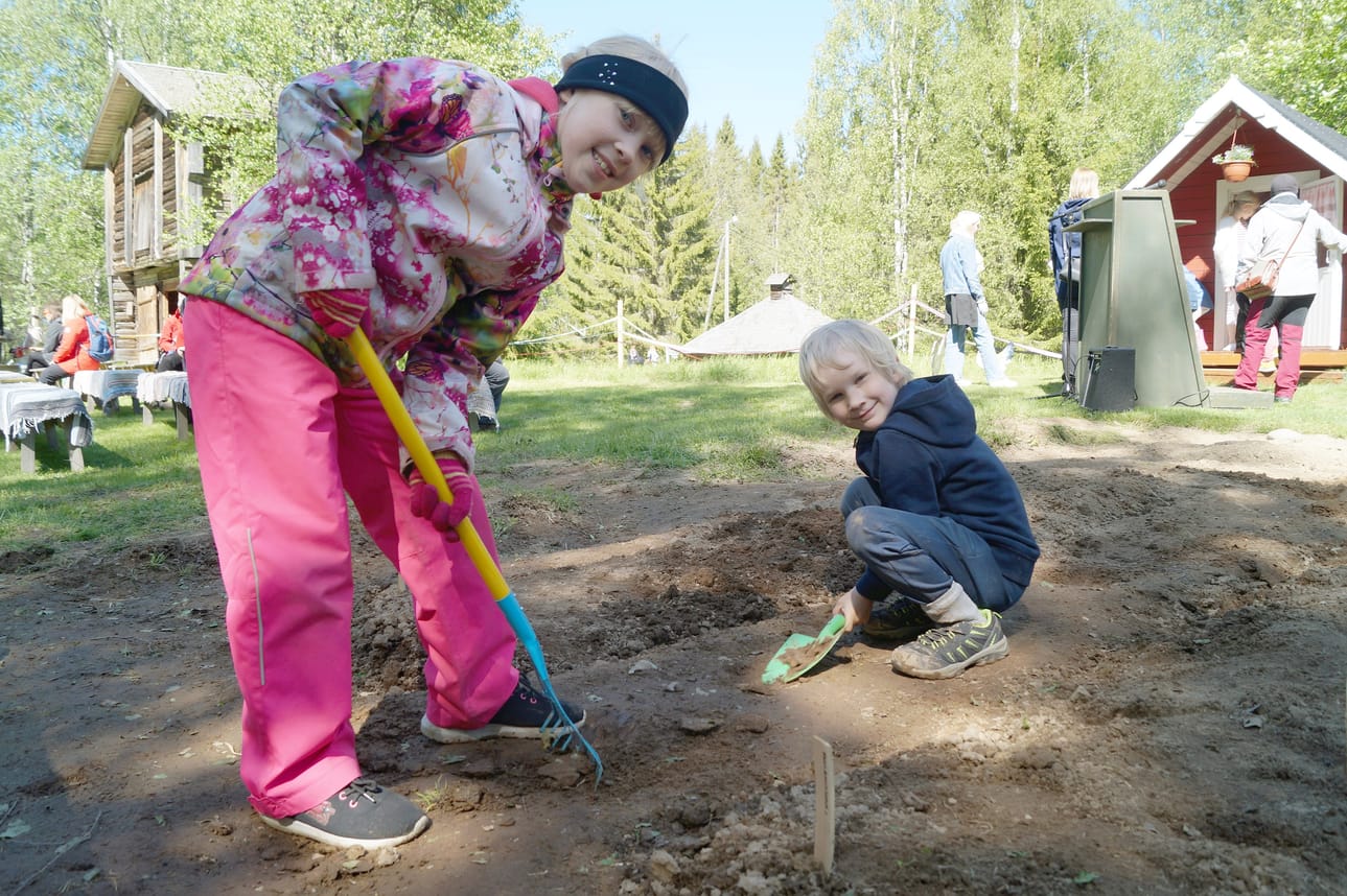 Lastepihan kasvimaalle saa kaivaa niin ison kuopan kuin jaksaa. Sara ja Joonas Pahkasalo ovat jo työn touhussa.
