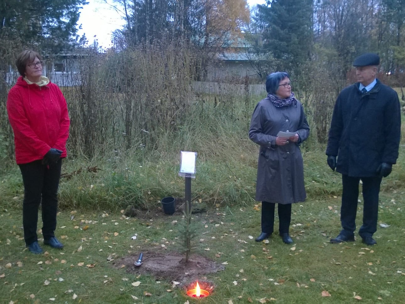 Opettajien päivän aluksi Kuusamo-opiston puistoon istutettiin Tulevaisuuden kuusi.