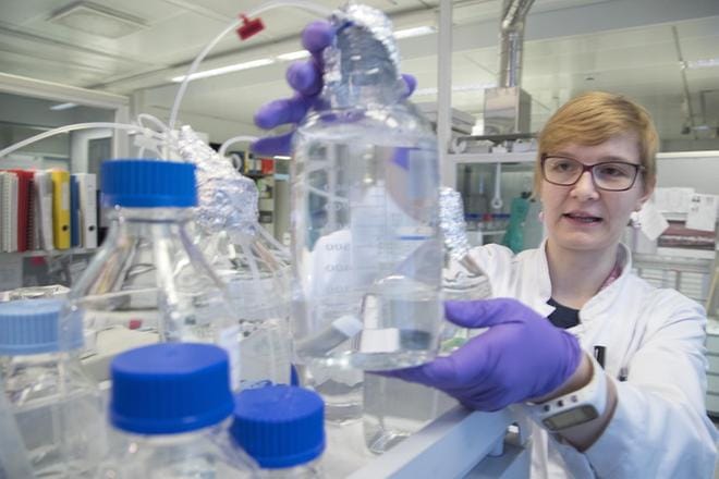 Laboratorioanalyytikko Maaret Karjalainen kuuluu 15 hengen joukkoon, joka tutkii näytteitä Verifinin laboratoriossa Helsingin yliopiston Kumpulan kampuksella. KUVA: Mauri Ratilainen