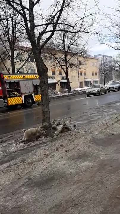 Tulipalo Tuiran Valtatiellä