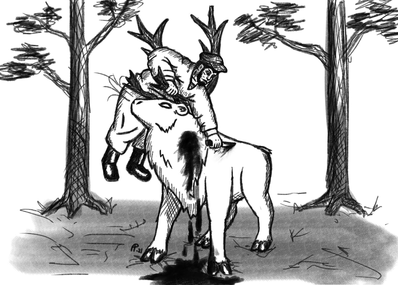 Taneli Vähäkuopuksen 1915 käymän taistelun kiimaista poroa vastaan on ikuistanut artikkelin kirjoittajan poika Ari-Pekka Honkanen.