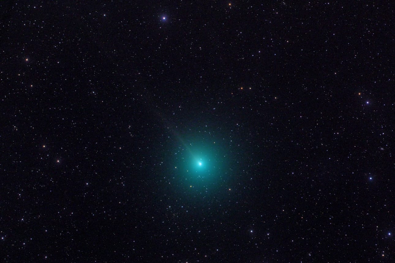 Wirtanen valokuvattuna Siding Springin observatorion iTelescope T12 -kaukoputkella (106 mm) Australiasta 1.12.2018. Kuvaa on valotettu 9 minuuttia. Kuva: Alan C. Tough