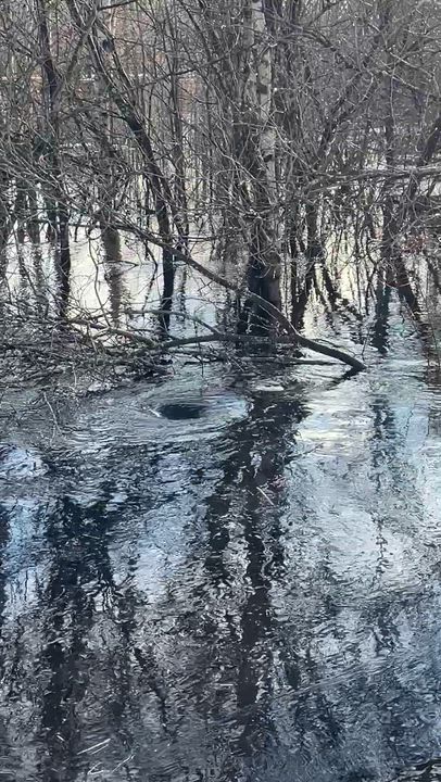 Kiimingin Alakylässä joki tulvii 27.3. 08:00 alkaen. Padon pituus jo n. 500m ja vesi nousee silmissä.