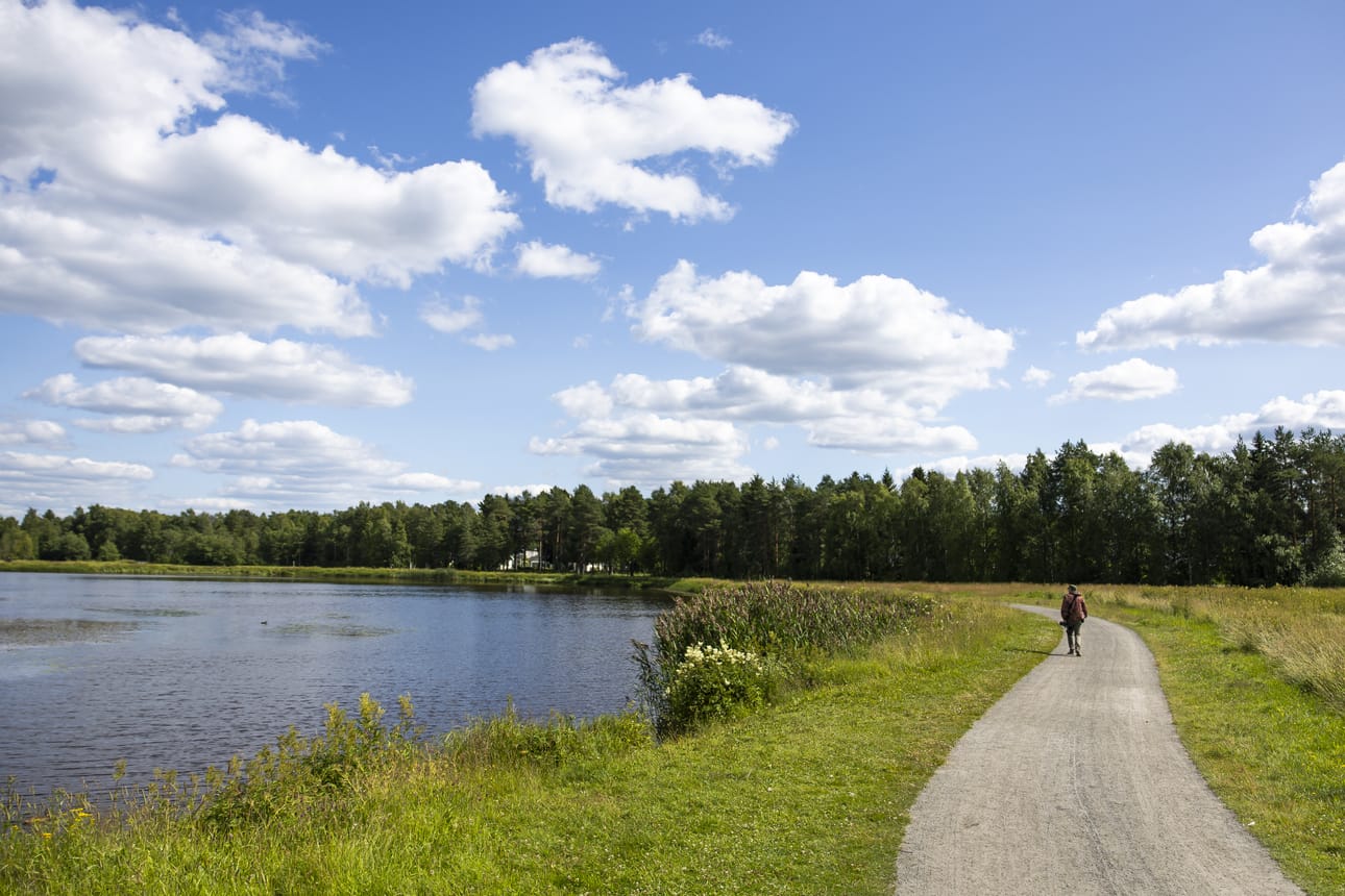 Kaijonlahden etelärannan reitti on Kuivasjärven ja Kaijonharjun asukkaiden ahkerassa käytössä.