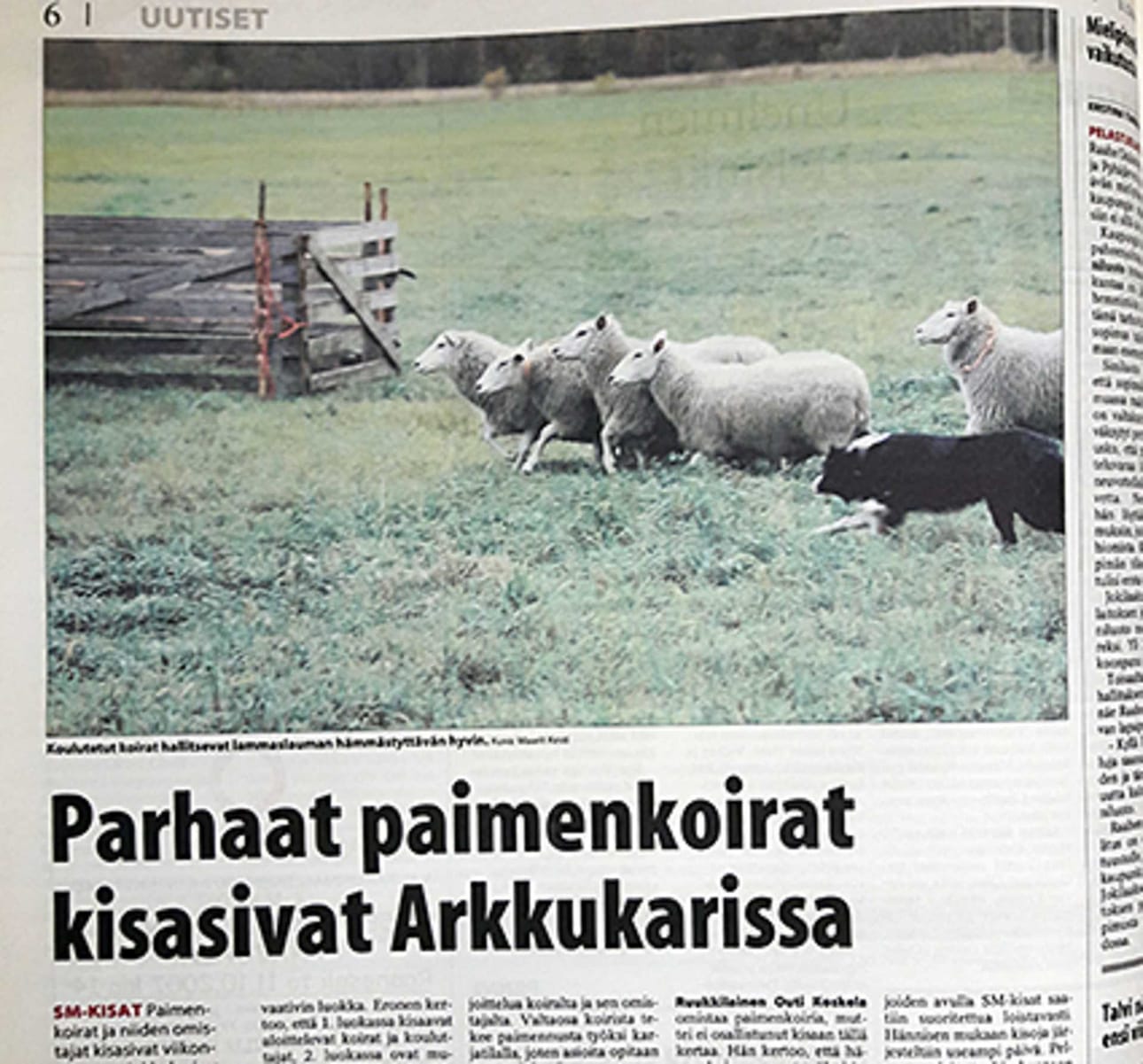 Vuonna 2007