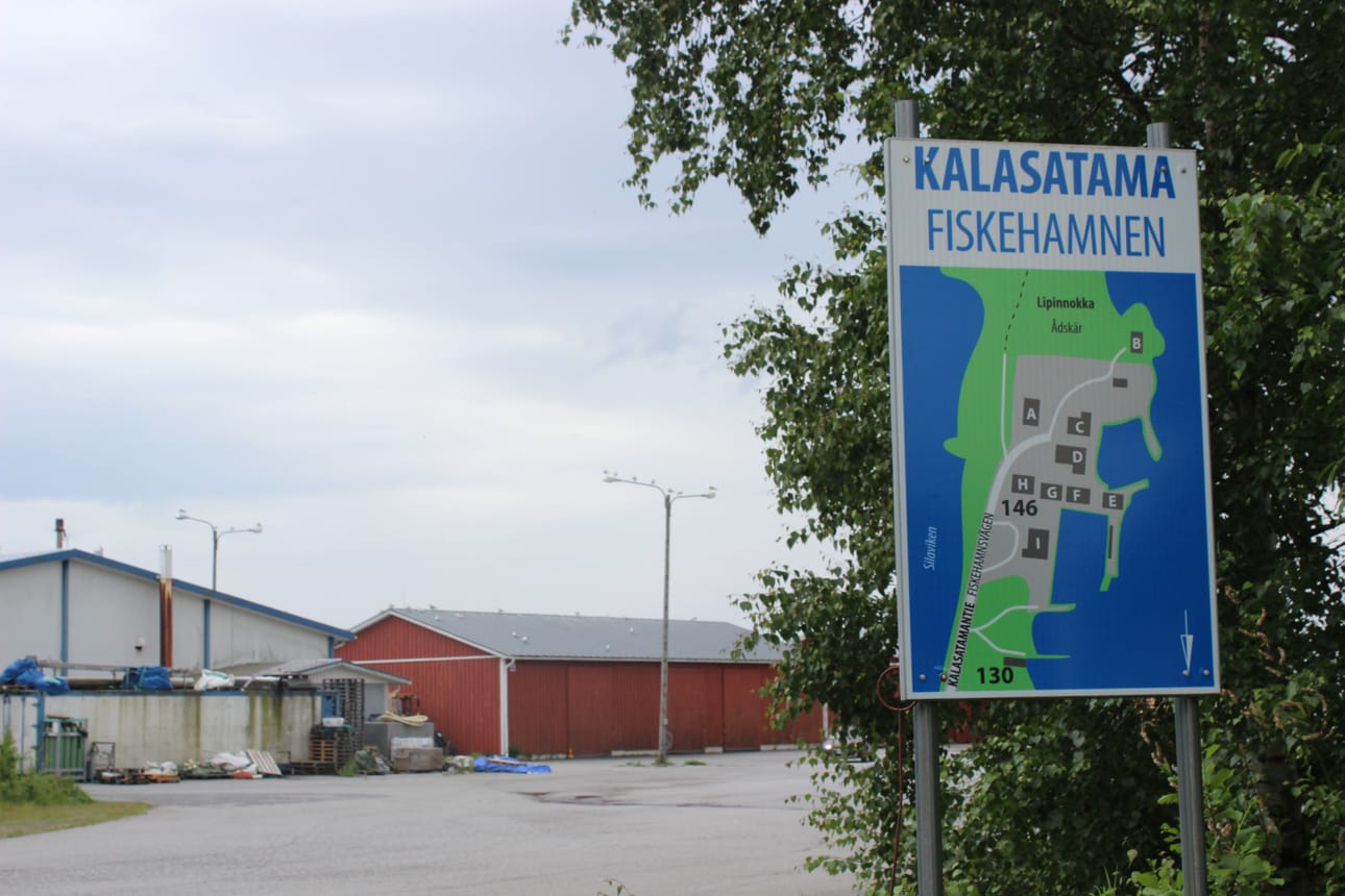 Nordic troutin suunnitelmissa on aloittaa kalankasvatustoiminta asteittain ensi keväänä.