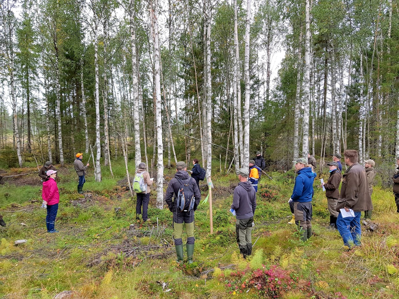 Vengasojan varteen on jätetty metsälain, PEFC- ja FSC-metsäsertifiointijärjestelmien ja eri suositusten mukaisia suojavyöhykkeitä.