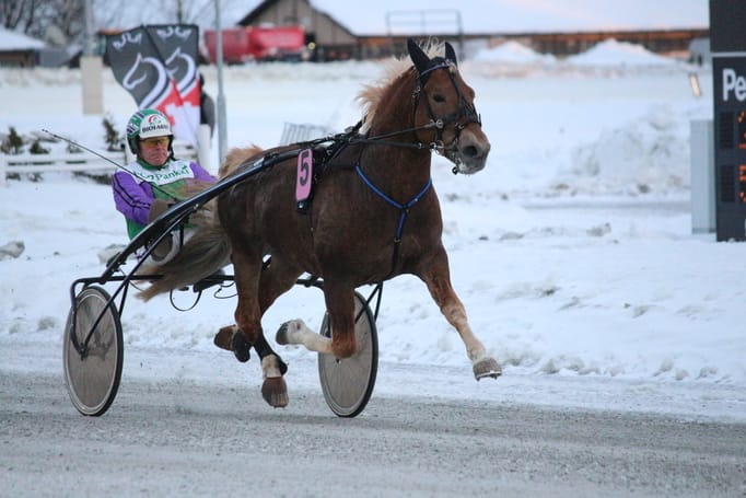 Risto Tupamäki ja Costello tekivät voitokkaan matkan Joensuuhun ja pokkasivat Sanomalehti Karjalainen -ajosta 12 000 euron ykköspalkinnon.