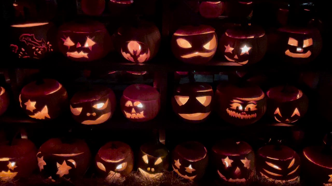 Halloween nuppeja…Salo, Halikko