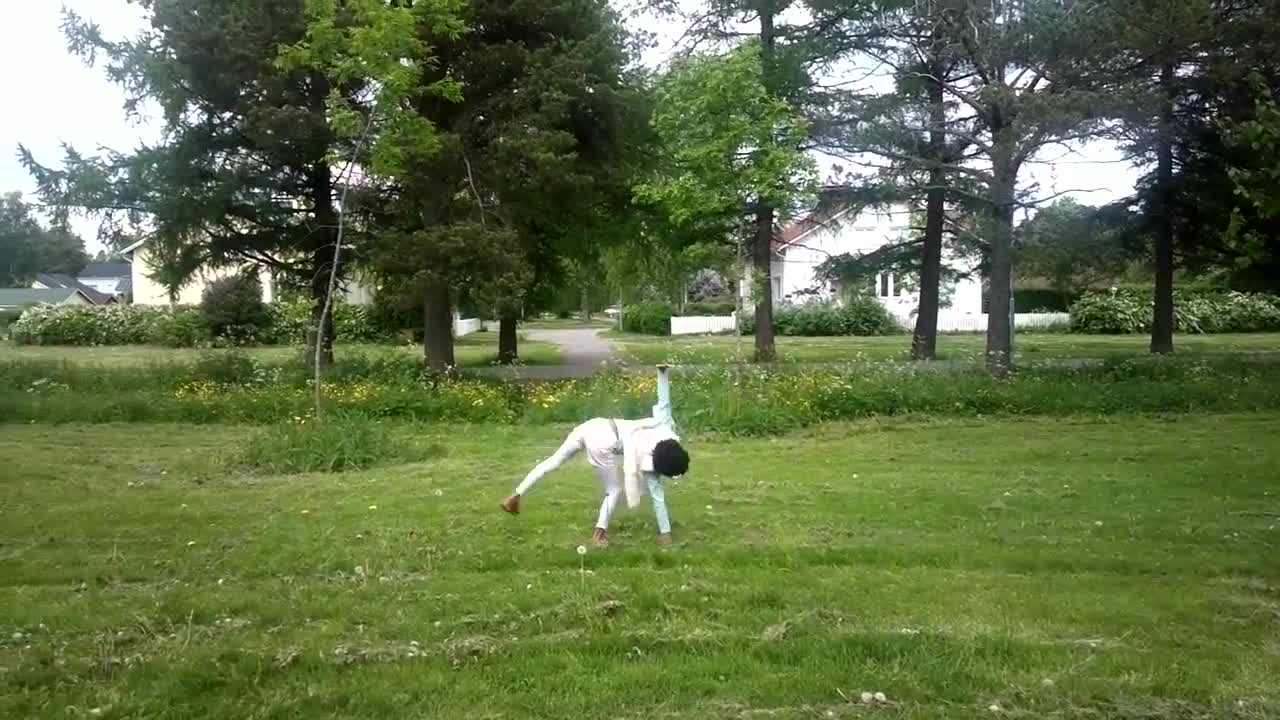 Kärrynpyöriä Höyhtyältä