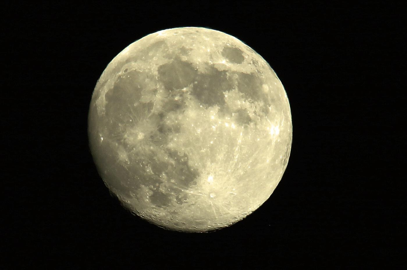 Helmikuun 2026 lukijakuvat