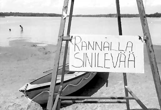 Vaarallista. Uimista sinilevärannoilla kannattaa välttää.