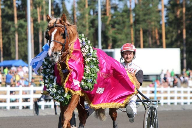 H.V.Tuuri tavoittelee kuninkuuskisan voittoa viikonloppuna Seinäjoella. Kuvassa ohjastajana Iikka Nurmonen. KUVA: JUHO HÄMÄLÄINEN/HIPPOS