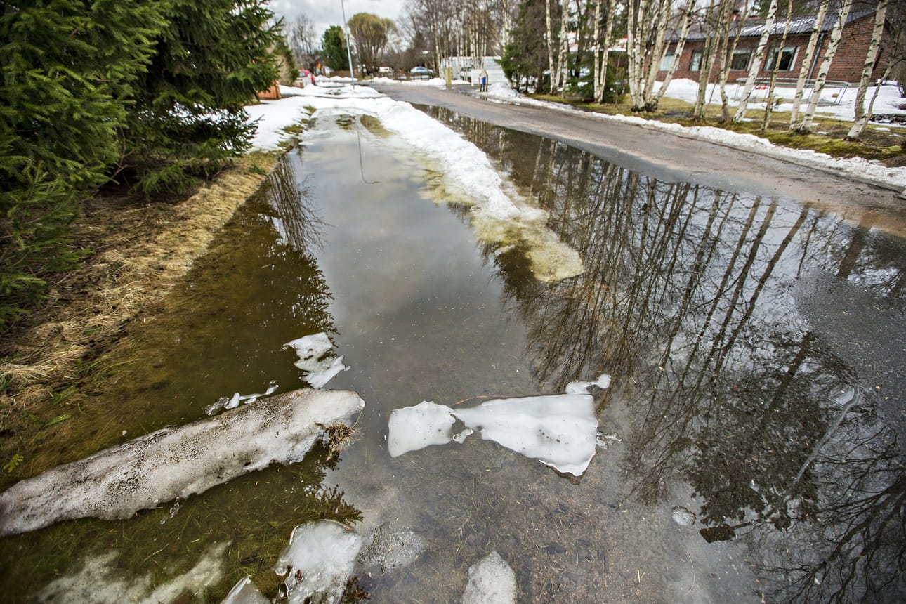 Kevään merkkejä näkee monin tavoin. Terminen kevät on meteorologien tapa määritellä vuodenaika.
