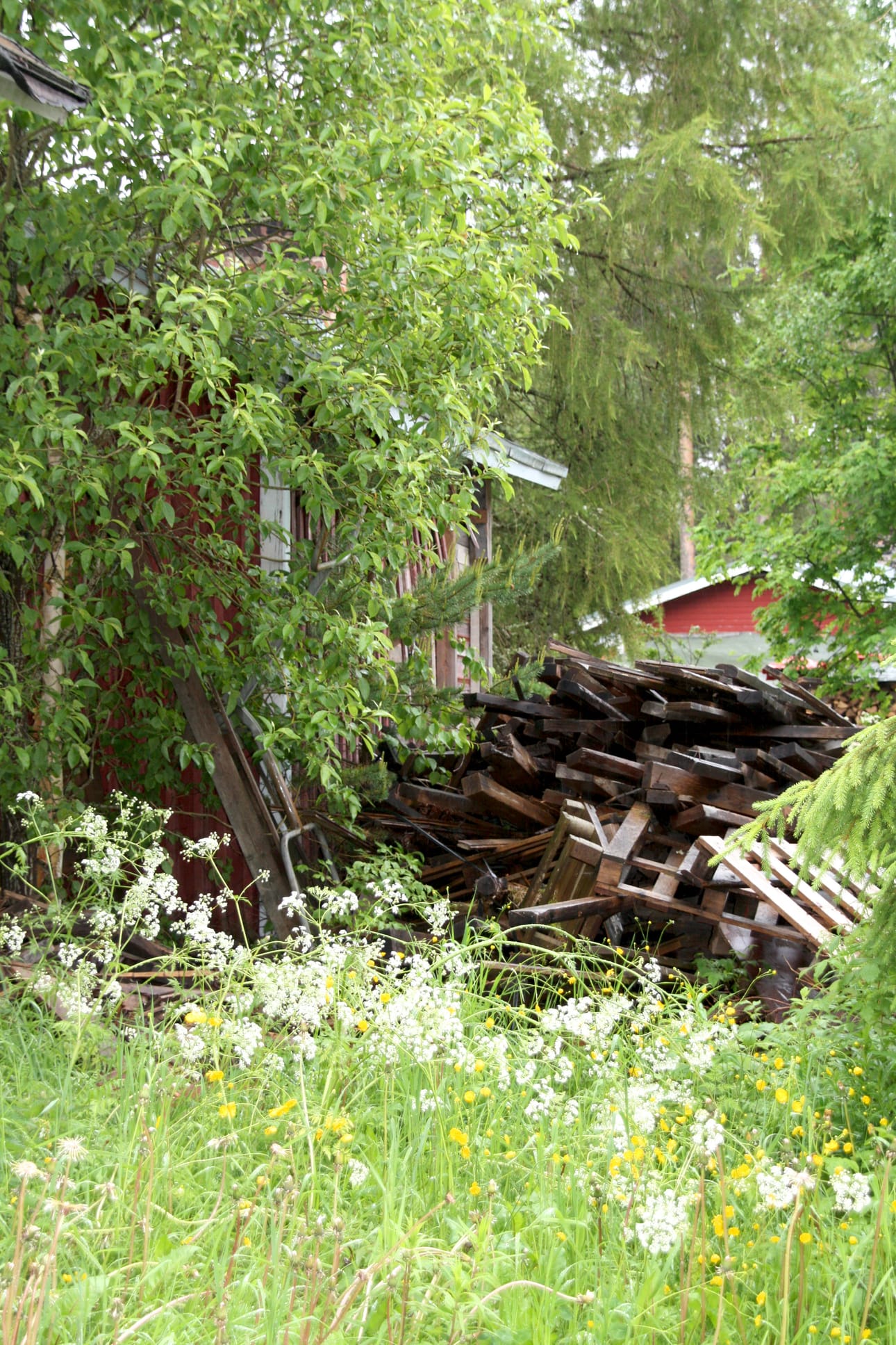 Rakennukset ympäristöineen olisi aina pidettävä kunnossa. Jos näin ei tehdä, voi rakennusvalvonta tehdä huomautuksen tai tarvittaessa turvautua järeämpiin toimenpiteisiin. Kuva: Mirko Kovalainen
