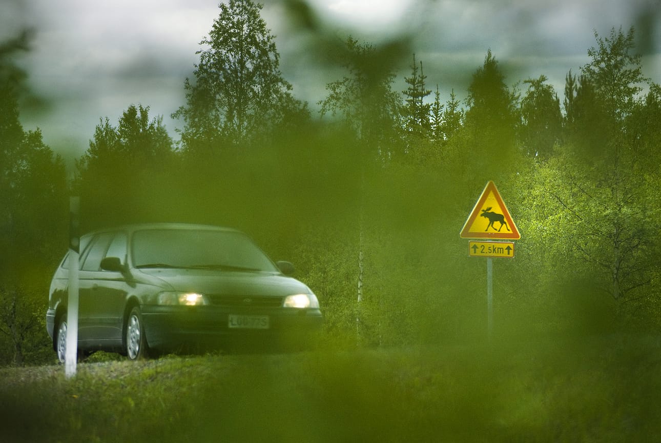 Isomman eläimen kanssa kolaroitaessa on aina ilmoitettava poliisille.