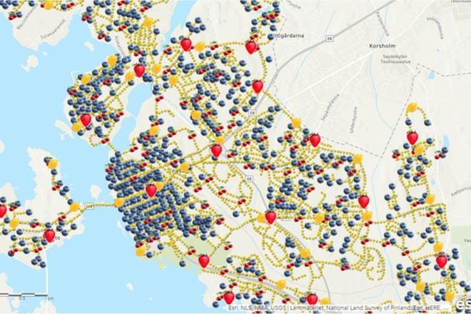 Liikennemerkkejä ja päällystevaurioita kartoittavassa mobiilipelissä kaduilta kerätään rahan arvoisia kolikoita, hedelmiä ja marjoja. KUVA: CARCHUPAN