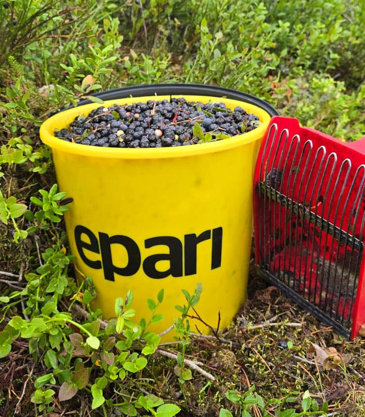 Marja-aikana moni veisi Eparin ämpärin mustikka- ja puolukkametsään. Kirkkaankeltainen sanko ei helposti katoa metsän vihreyteen.